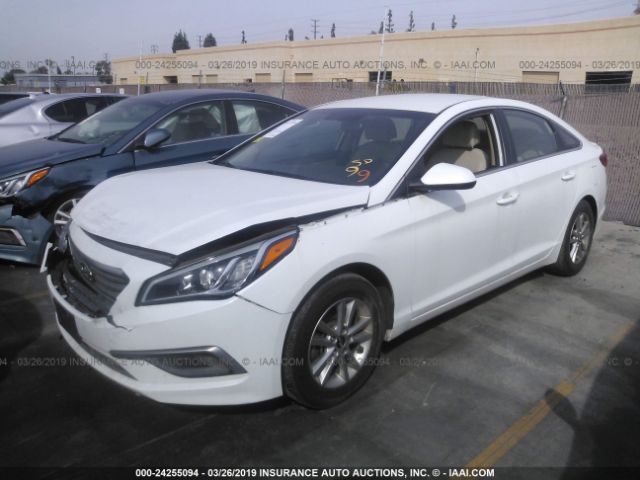 5NPE24AF5GH279341 HYUNDAI SONATA 2016 - 1